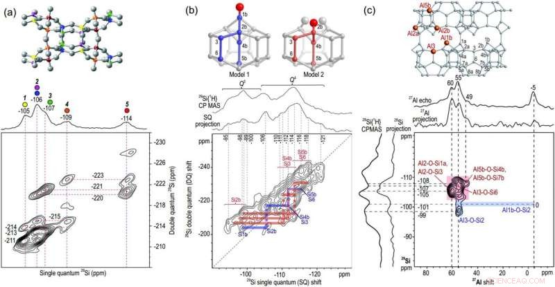 Cutting-Edge Solid-State NMR Insights into Zeolite Catalysts