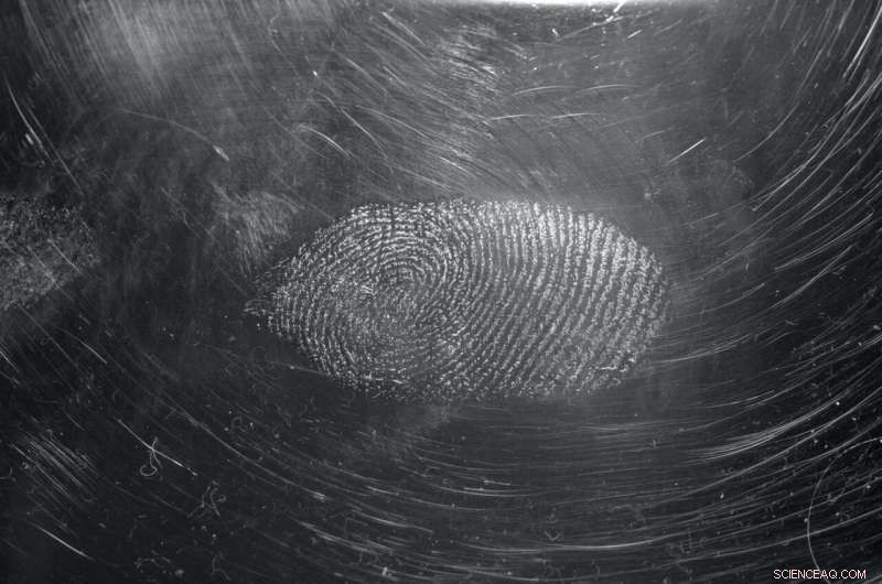 New Study Shows Promising Advances in Methamphetamine Detection Accuracy