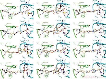 Universal Chemical Strategy for Designing Closure-Stabilizing Integrin Inhibitors