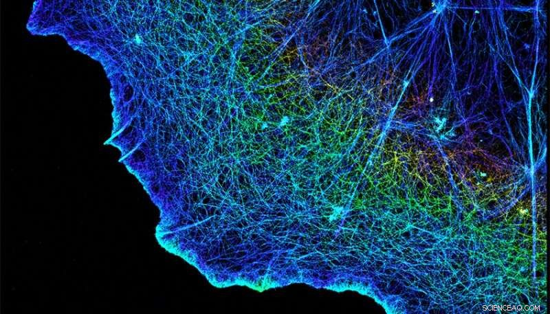 Universal Chemical Strategy for Designing Closure-Stabilizing Integrin Inhibitors