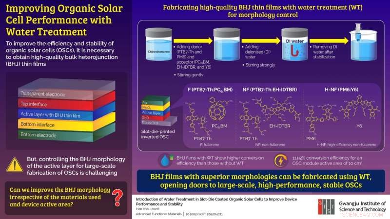 GIST Researchers Achieve High-Efficiency Large-Scale Organic Solar Cells via Water-Based Morphology Control