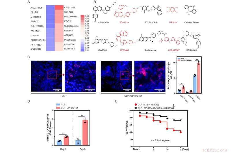 PDGFR Kinase Inhibitor Safeguards Mice From Septic Death by Modulating BTLA