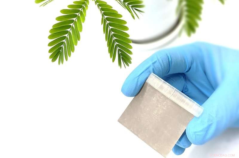 Self‑Actuating Thermal Management Material Mimicking Mimosa Leaves