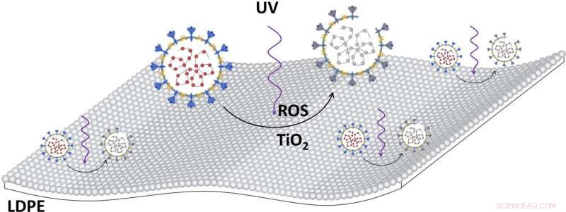 Low‑Cost Plastic Film Kills Viruses Under Room Light