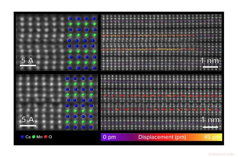 First Observation of a Distinct Ferroelectric Microstructure in Layered Perovskite (Ca,Sr)3Mn2O7