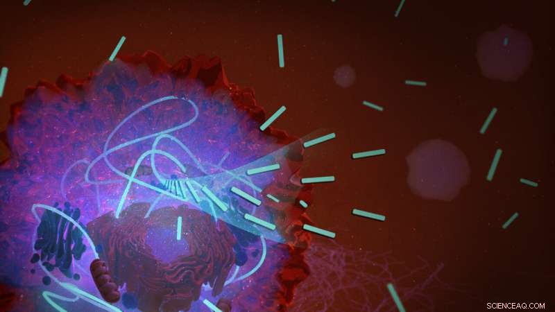 Self-Assembling Molecules Show Promise for Targeted Cancer Therapy