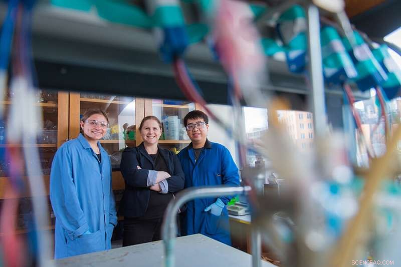 Harnessing Biological Materials to Convert CO₂ into Valuable Products