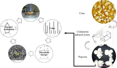 Infrared Cooking Yields Larger, Tastier Popcorn Kernels