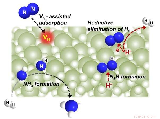 Barium Hydride Catalyzes Metal‑Free Dinitrogen Fixation for Ammonia Synthesis