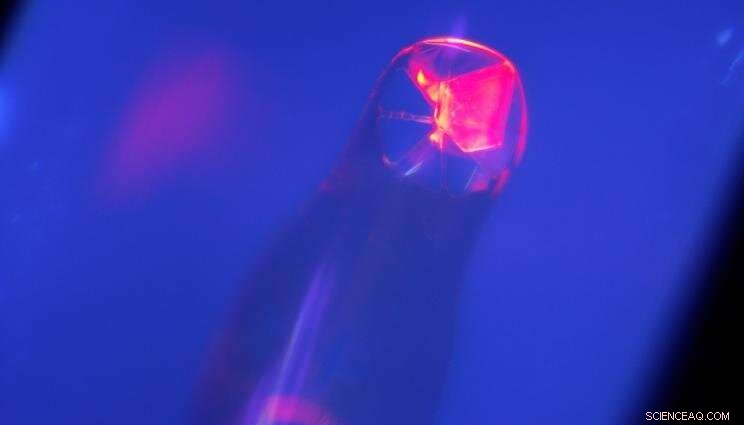 Innovative Crystallography Techniques Reveal Curium s Hidden Structure