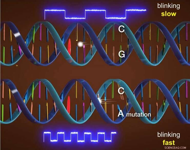 Single‑Molecule Fluorescence Reveals Mutation Signatures for Precise Diagnostics