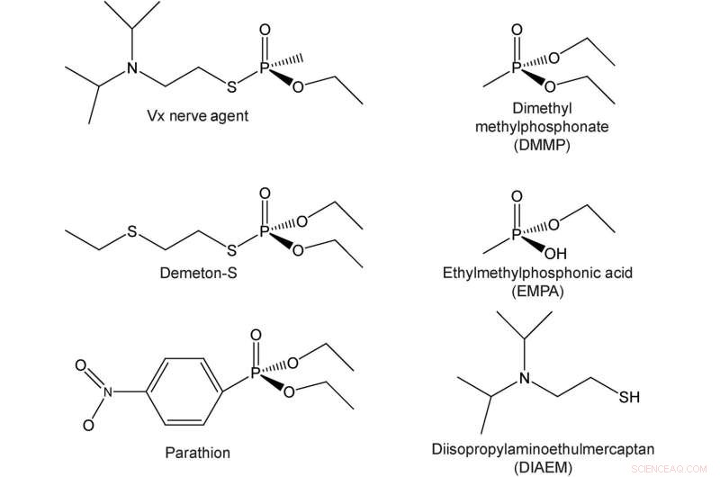 Rutgers Team Develops Synthetic Protein to Detect and Counter VX Nerve Agent