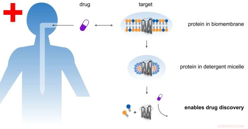 Innovative Detergents Boost Drug Research by Efficient Protein Extraction
