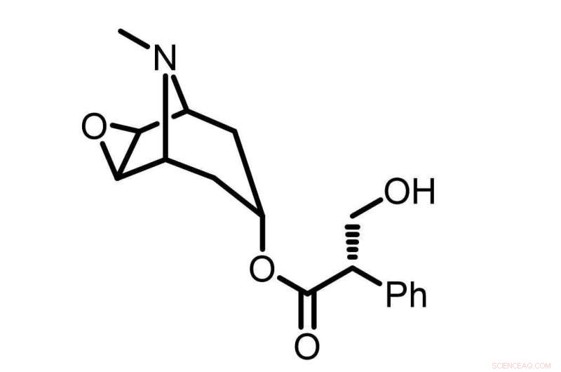Southwest Research Institute Unveils Cost‑Effective Synthetic Route to Scopolamine, a Key Anti‑Nausea Agent