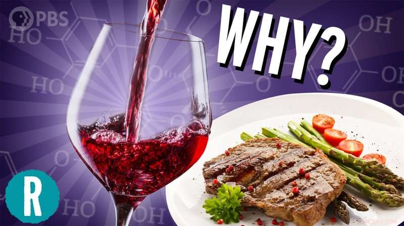 Video: Peer-Reviewed Science Confirms Chemistry Behind Wine & Food Pairings