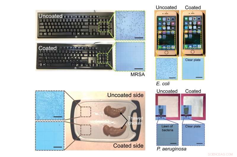 Long‑lasting Coating Rapidly Neutralizes COVID‑19 and Bacteria