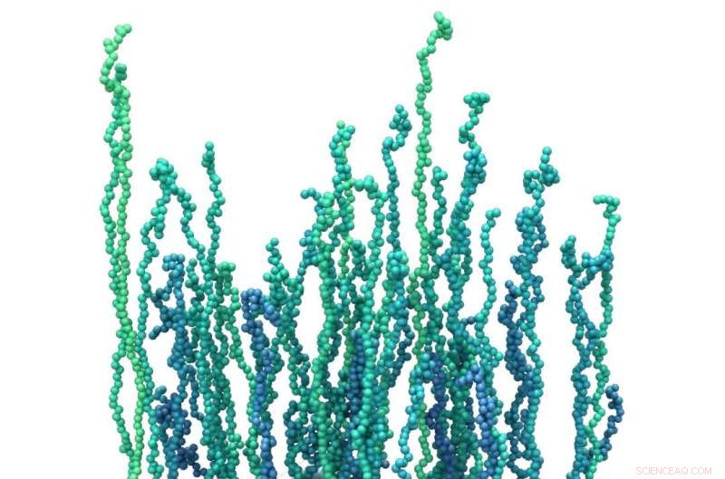 Molecular Simulations Reveal Dynamics of Self-Assembling Associating Polymers