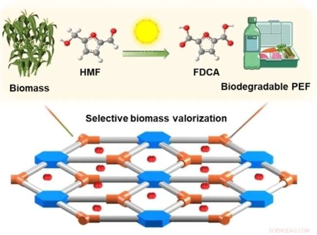 Revolutionary Titanium Photocatalyst Accelerates PEF Production, a Sustainable PET Alternative