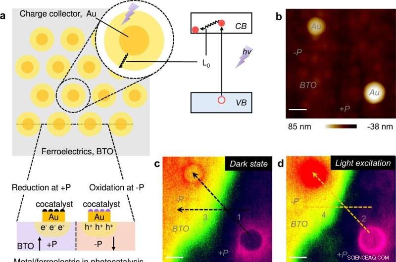 New Charge‑Separation Strategy Boosts Efficiency of Ferroelectric Photocatalysts