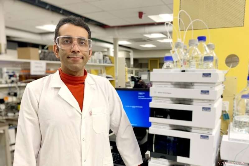 University of Melbourne Breakthrough: Whey‑Derived Compounds Offer Nutritional and Antiviral Potential