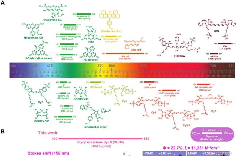 Bioinspired Molecular Dyes: Enhancing Biomedical Fluorescent Imaging with Long Stokes Shift