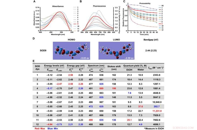 Bioinspired Molecular Dyes: Enhancing Biomedical Fluorescent Imaging with Long Stokes Shift