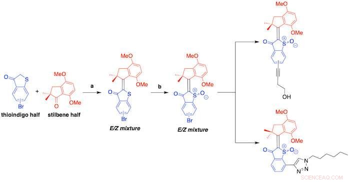 Light-Activated Molecular Motors Offer New Approach to Combat Antibiotic-Resistant Bacteria