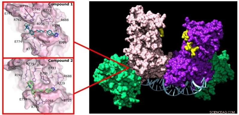Revolutionizing Cancer Treatment: DNMT3A Enzyme Complexes Offer Targeted Chemo with Reduced Side Effects