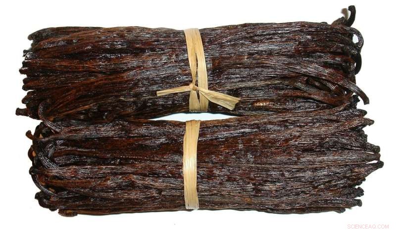 Unveiling the Chemistry Behind Vanilla’s Irresistible Aroma