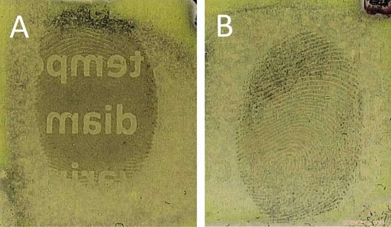 Advanced Fingerprint Technique Reveals Print Timing, Aiding Fraud Investigation