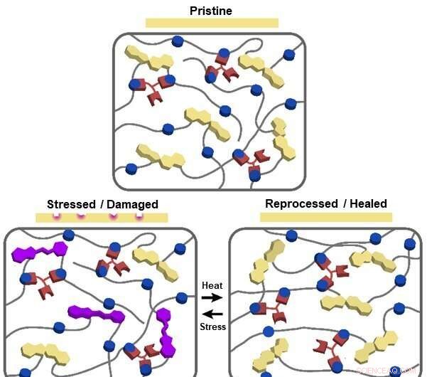 Advanced Self‑Healing and Damage‑Detection Coatings for Durable Surface Protection