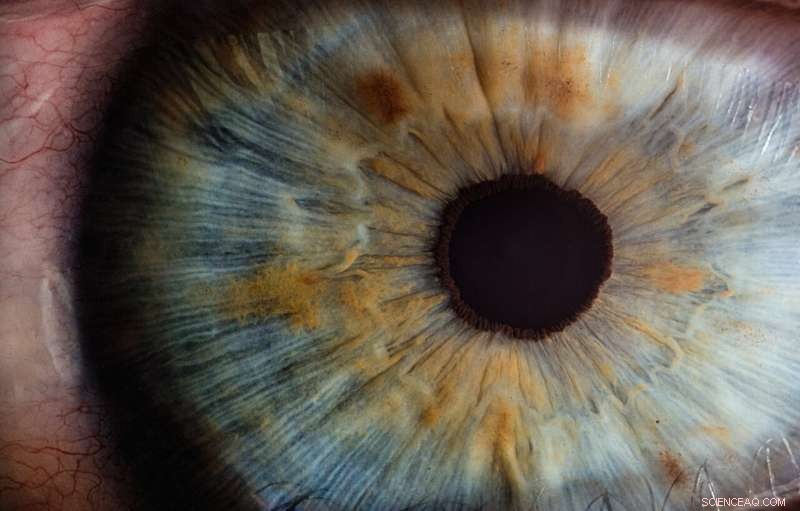 Revolutionary Protein Delivery Platform Paves Way for Treating Degenerative Eye Diseases