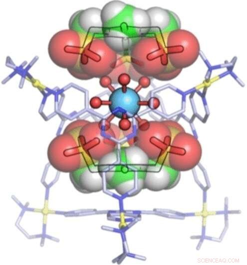 Cap‑Lined Molecular Cages for Selective Confinement of Rare‑Earth Metal Hydrates