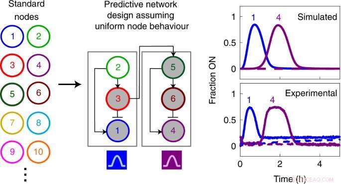 Advancing Smart Materials: Artificial Genes Enable Controlled Material Functionality