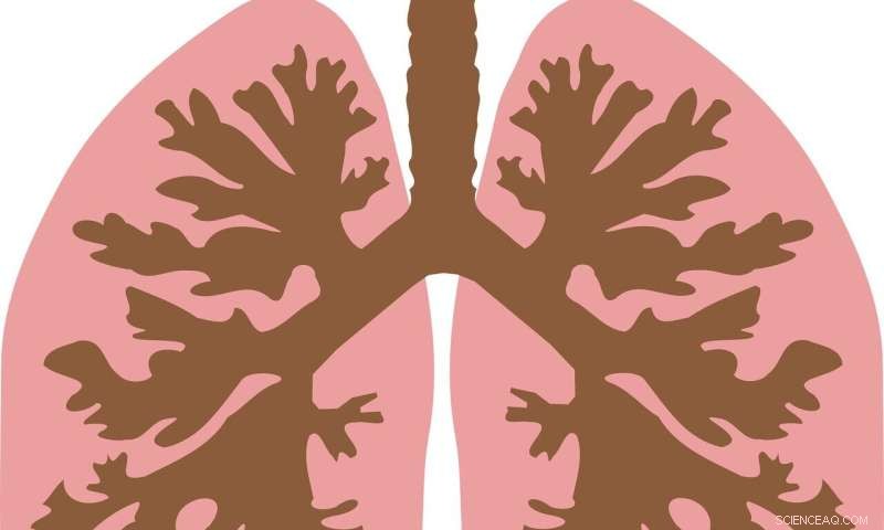 New Study Uncovers Key Mechanisms Behind Airway Relaxation in Asthma