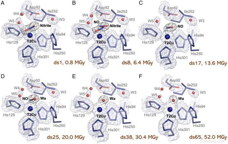 Visualizing Enzyme Dynamics Reveals Mechanism of Greenhouse Gas Production