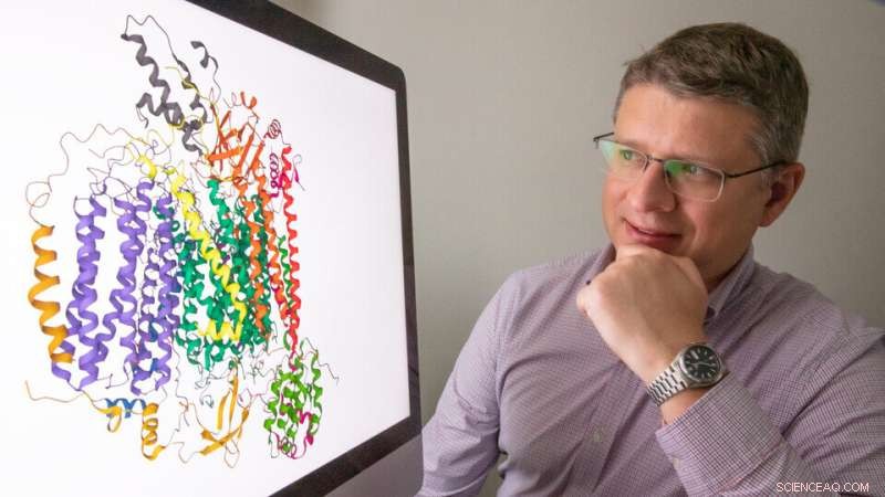 New Study Uncovers Unexpected Details About Cytochrome c Oxidase, the Enzyme That Powers Cellular Energy