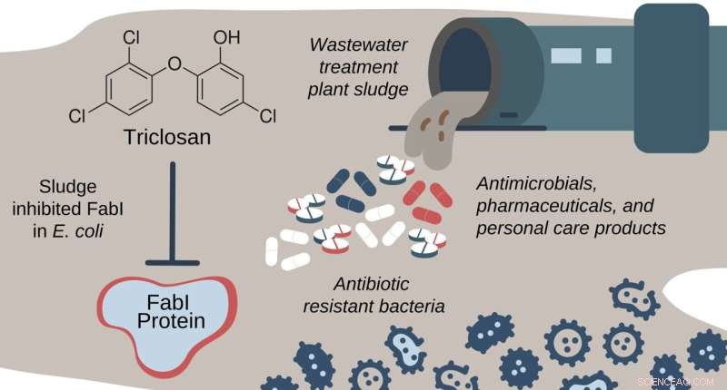 Triclosan in Household Products: A Key Driver of Antibiotic Resistance