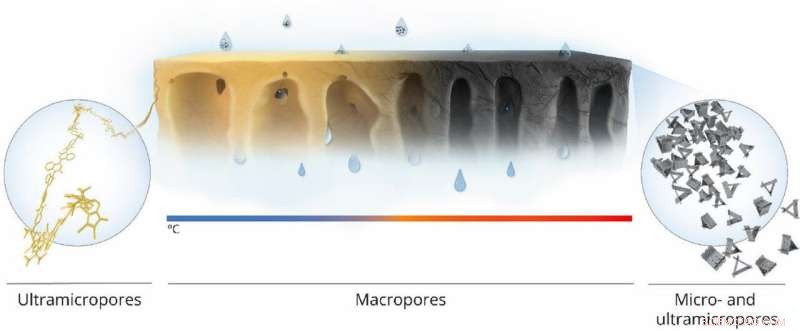 Advanced Nanofiltration Membranes: Efficient Molecular Sieving for Industrial Applications