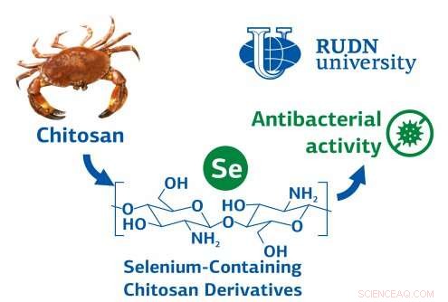 New Antimicrobial Derived from Chitin and Selenium Surpasses Conventional Antibiotics