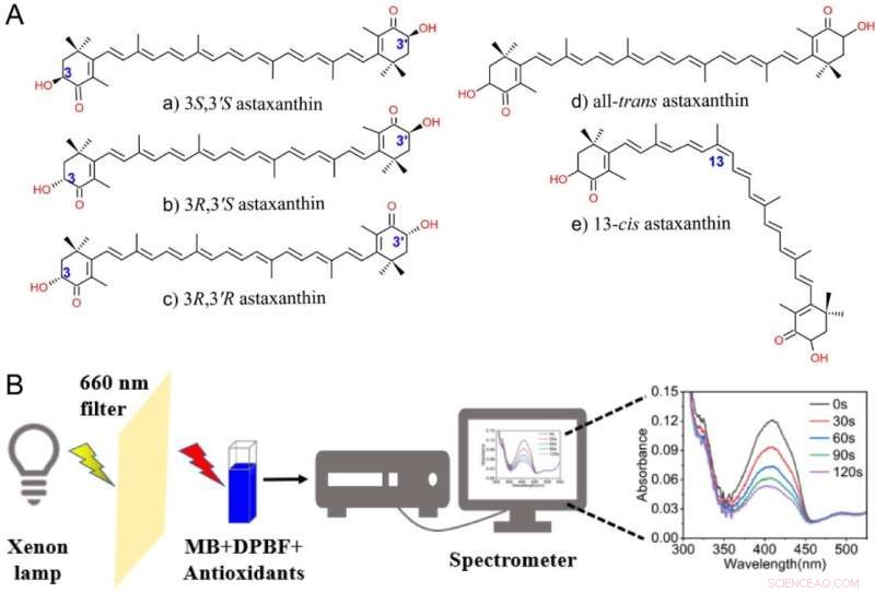 Astaxanthin Isomers Show Distinct Antioxidant Efficacy Against Singlet Oxygen