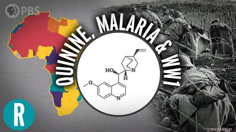 How Quinine’s Discovery Shaped World War I: A Scientific Perspective