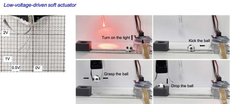 Can Strong, Rapid‑Switching Artificial Muscles Revolutionize Robotics?
