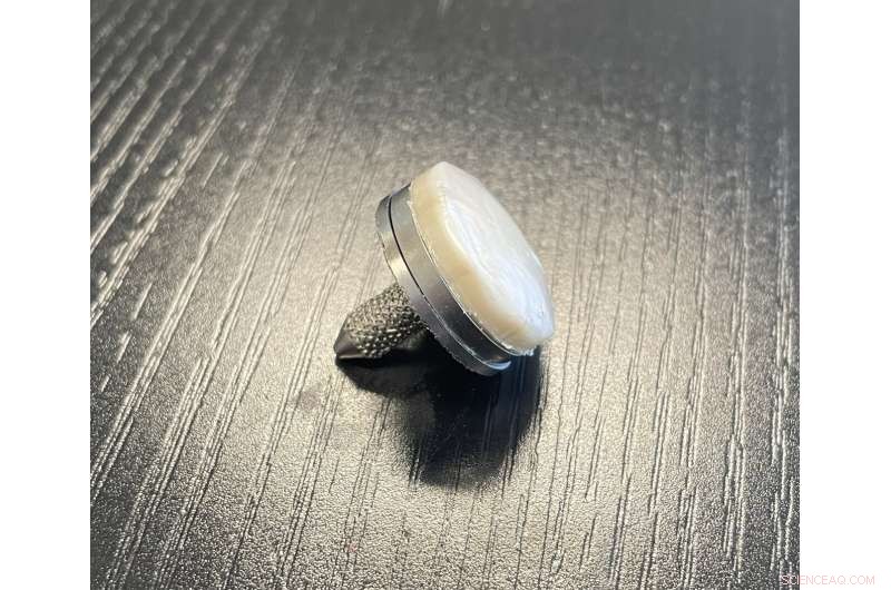 Lab‑Made Cartilage Gel Outperforms Natural Cartilage for Knee Pain Relief