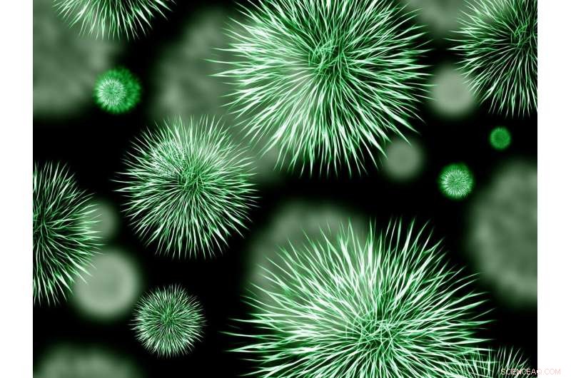 Bacteria Counter Hypothiocyanite: Decoding the Innate Immune System’s Antimicrobial Defense