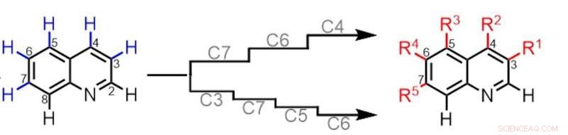 Chemists Achieve Breakthrough in Molecular Editing