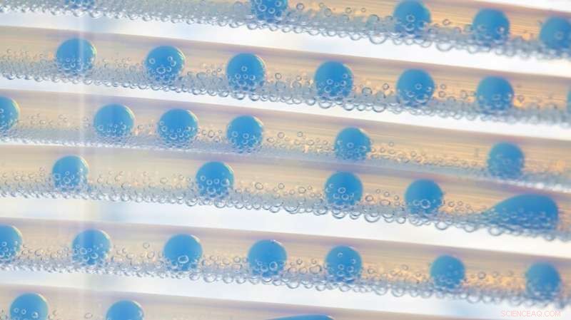 Harnessing Controlled Chaos to Design High-Entropy Ceramics