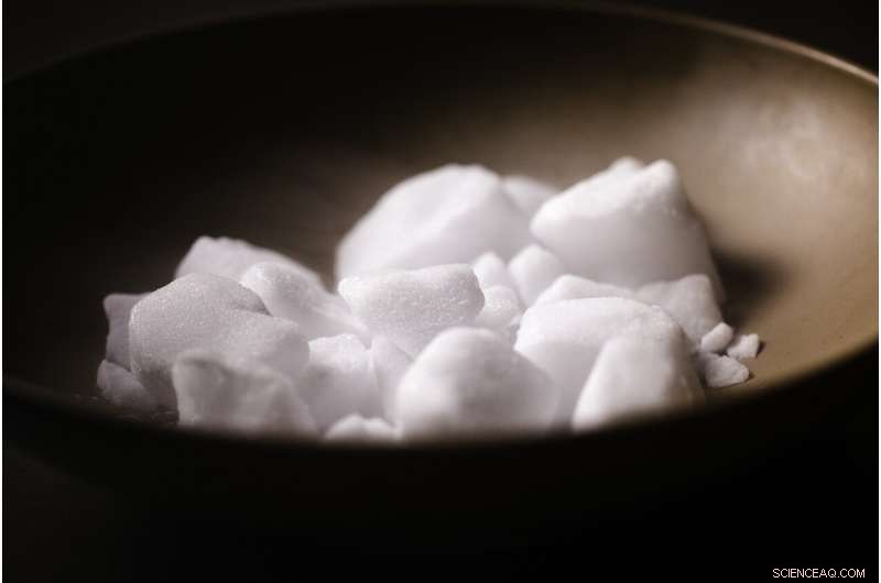 Harnessing Maltose: New Enzymatic Biosystem Boosts Sustainable Biofuel Production