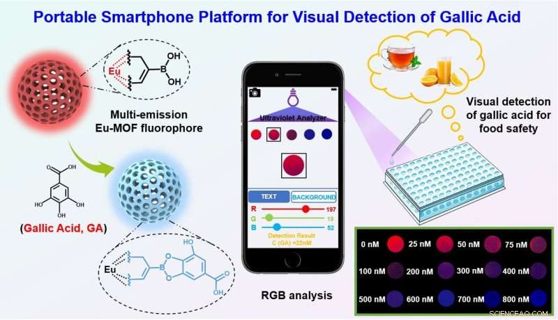 Portable Dual-Emission Eu-MOF Smartphone Sensor for Visual Food Safety Testing