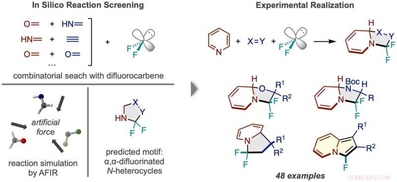 In Silico Simulations Uncover a Rich Source of Novel Fluorinated Compounds